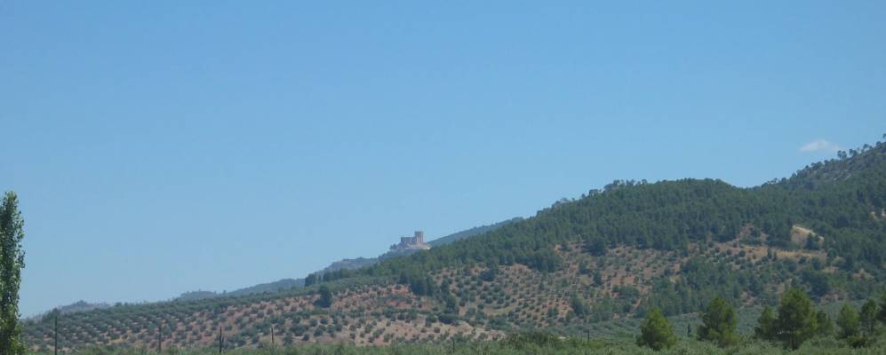 
            Фотография Кортихос Нуэвос