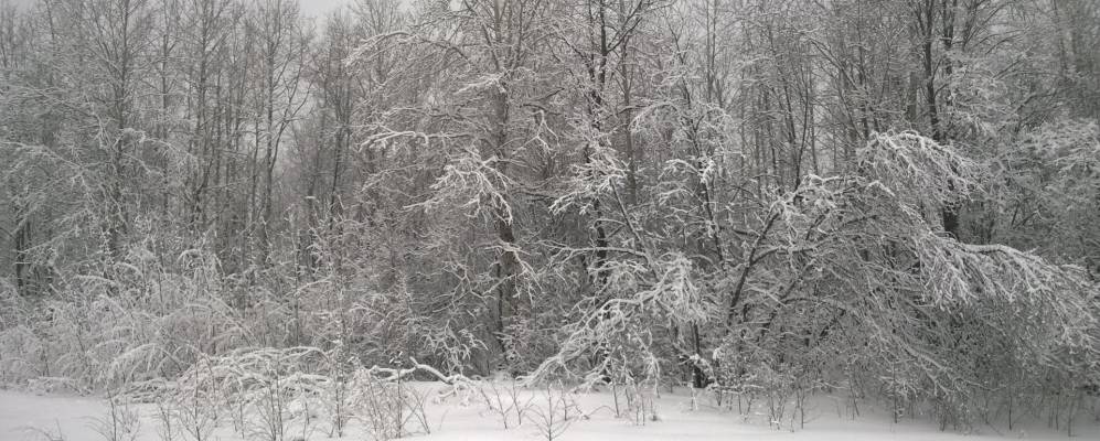 
            Фотография Малого Акташа