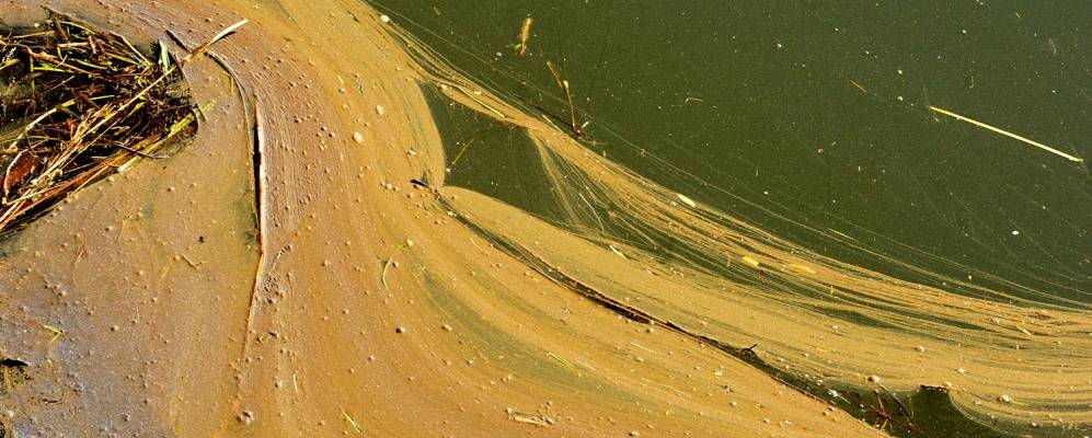 Фотография деревни Новосады