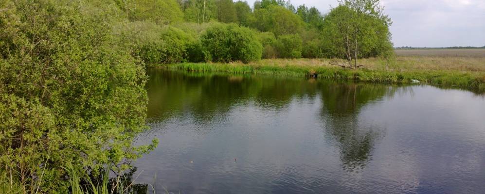 Фотография Подсосного