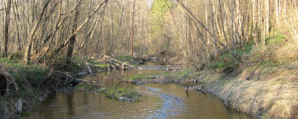 
            Фотография Семеновского