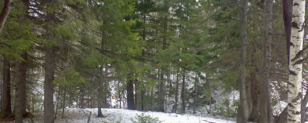 Фотография Лугофилинской