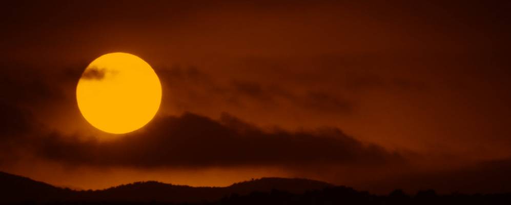 
            Фотография Петалидхиона