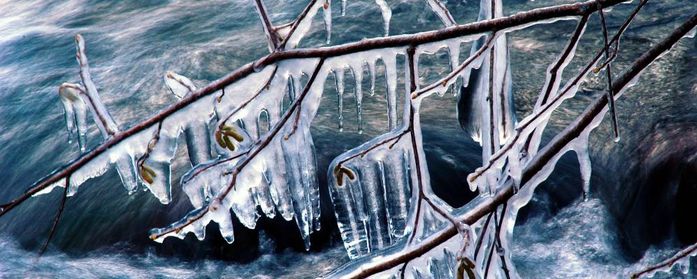 Фотография Камаленьо