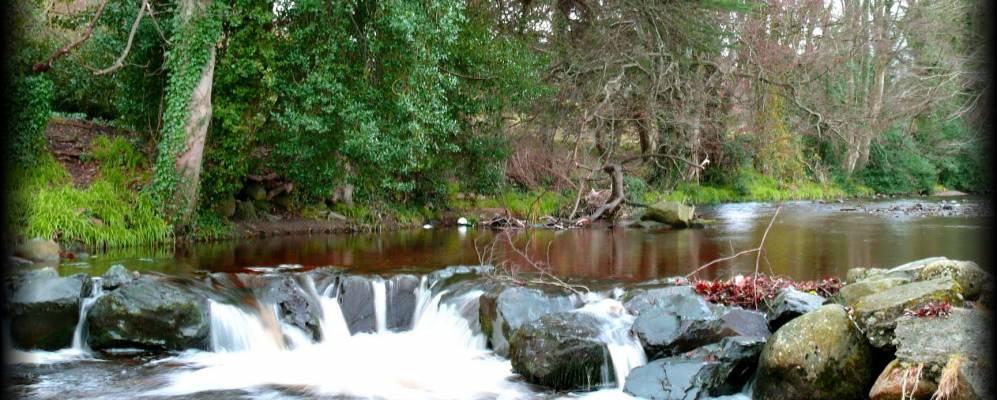 
            Фотография Ростревора