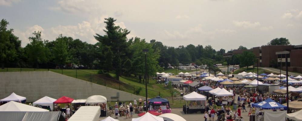 
            Фотография Белл - Нора