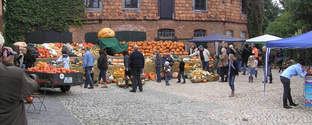 
            Фотография Борссума