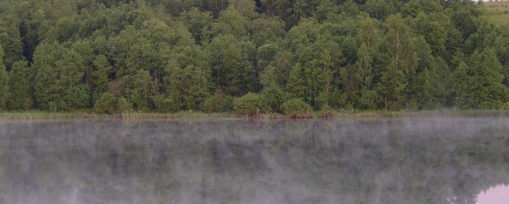 
            Фотография Памозово