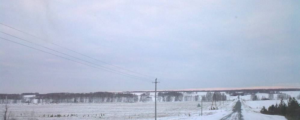 
            Фотография Петровского