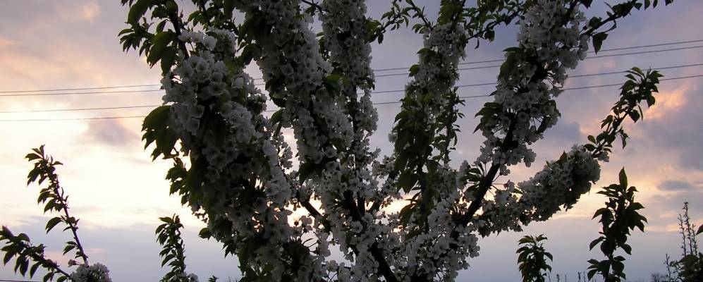 
            Фотография Ромашкино