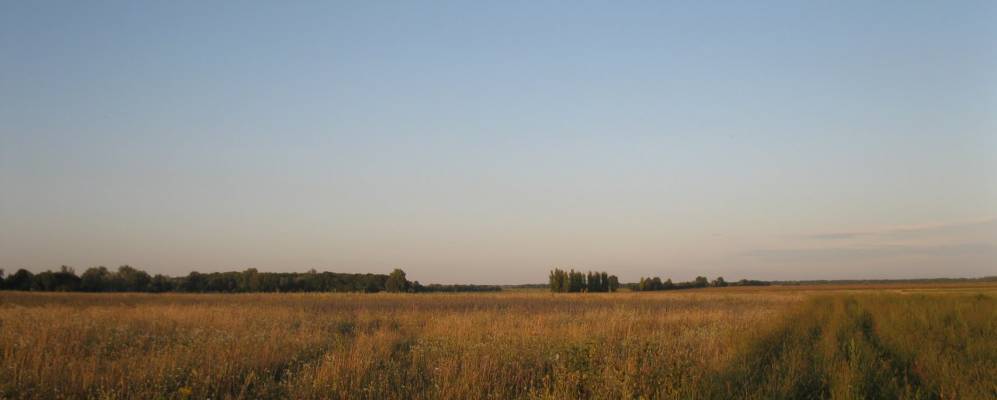 
            Фотография Безводовки