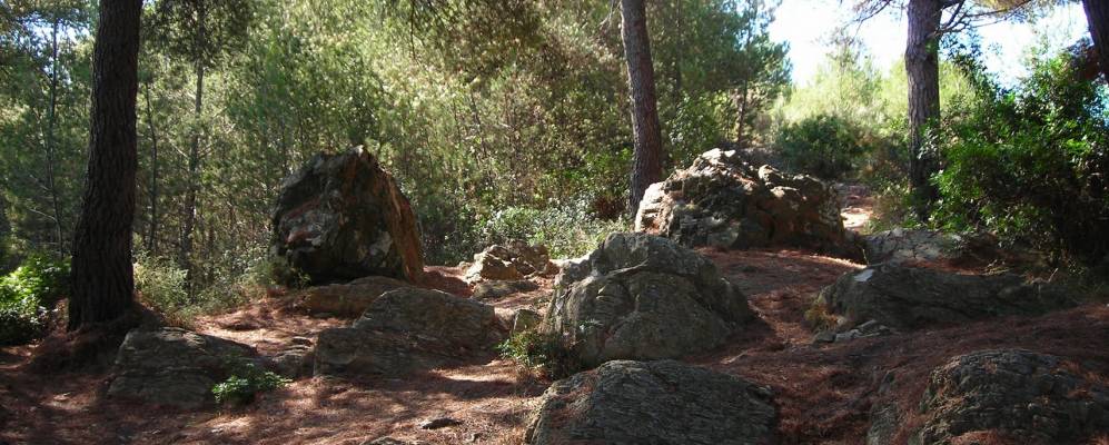 
            Фотография Лайгуэльи