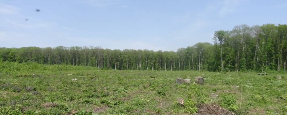 
            Фотография Юнашек