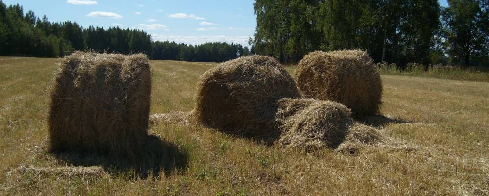 
            Фотография Вышеславского