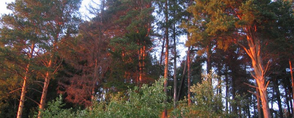 Фотография Копалинской