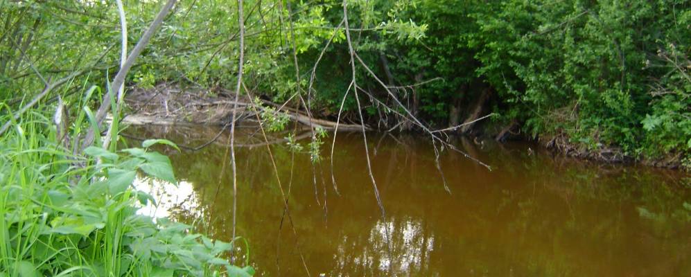 
            Фотография Березкиных