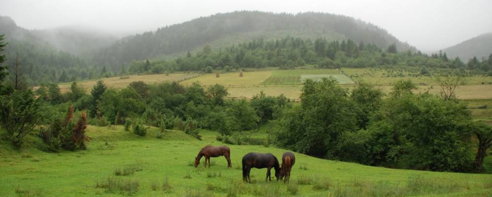 
            Фотография Рыкова
