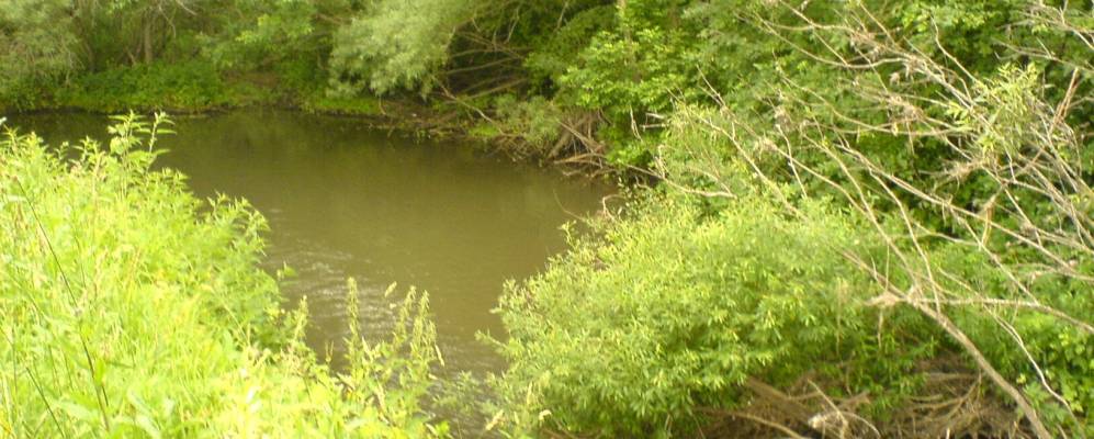 
            Фотография Пыжово