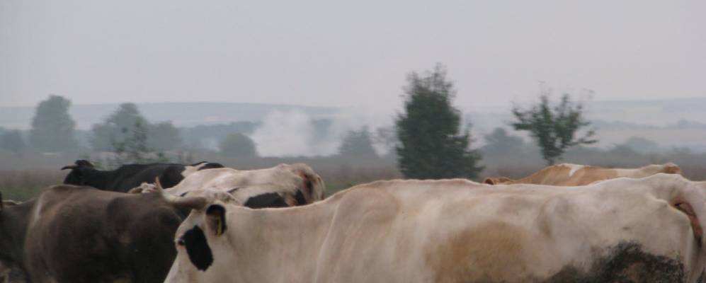 
            Фотография Полевой Слободки