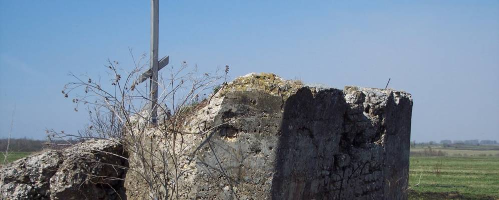 
            Фотография Конопатино