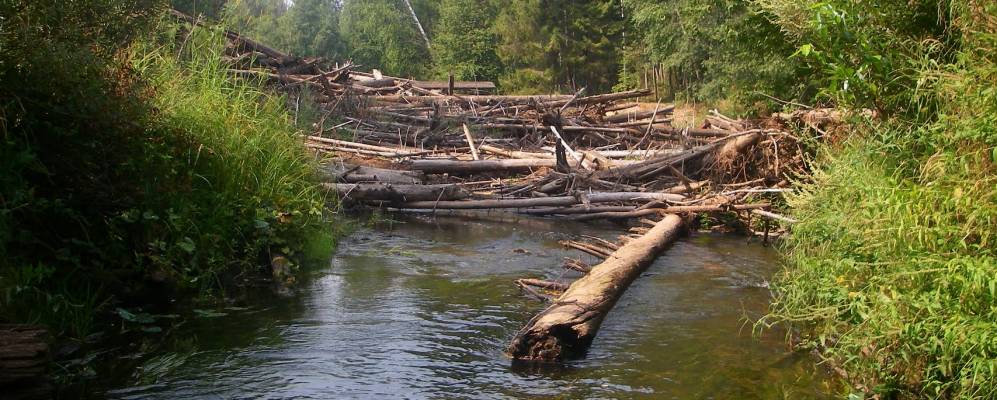 
            Фотография Липовской