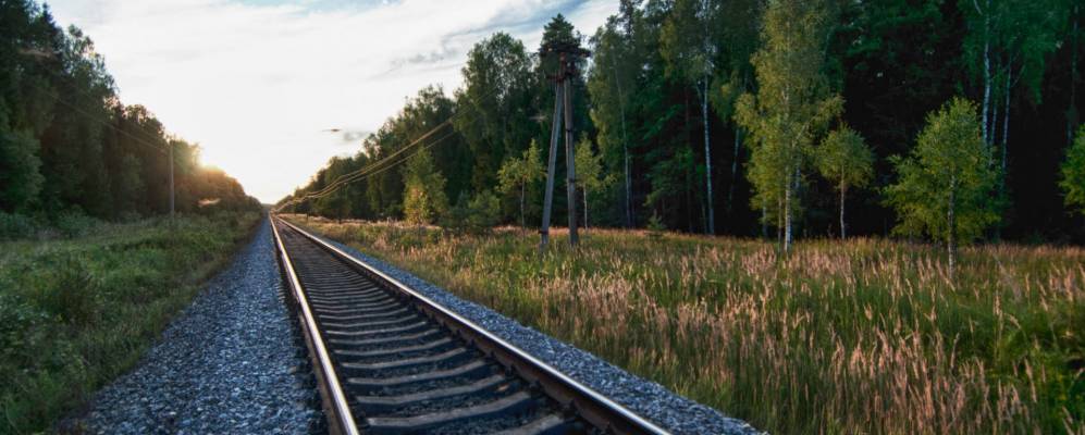 
            Фотография Дорохи