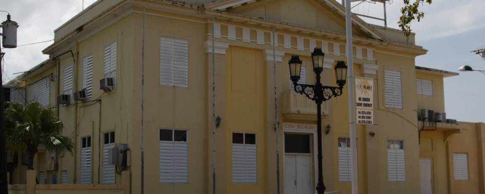 
            Фотография Ceiba