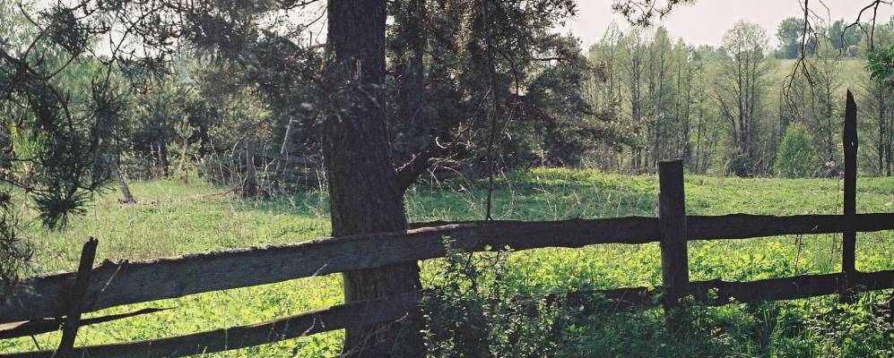 
            Фотография Подсосенья