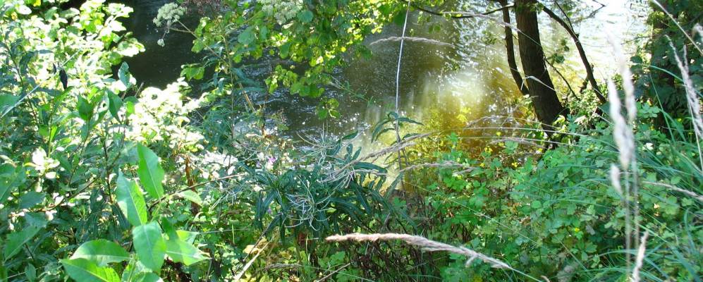 
            Фотография Нового Ратово