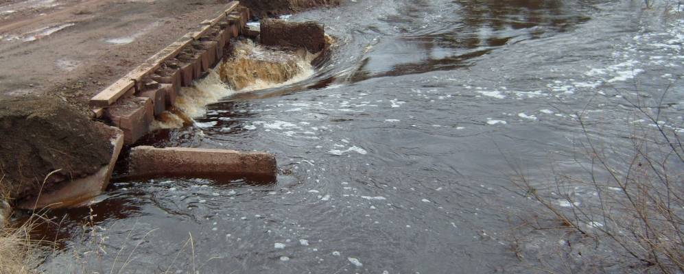 
            Фотография Пашенного