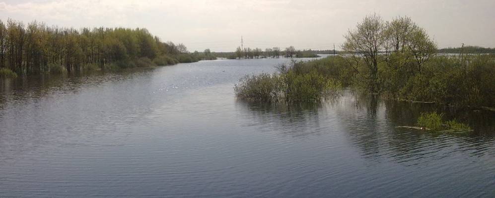 
            Фотография Старой Мельницы