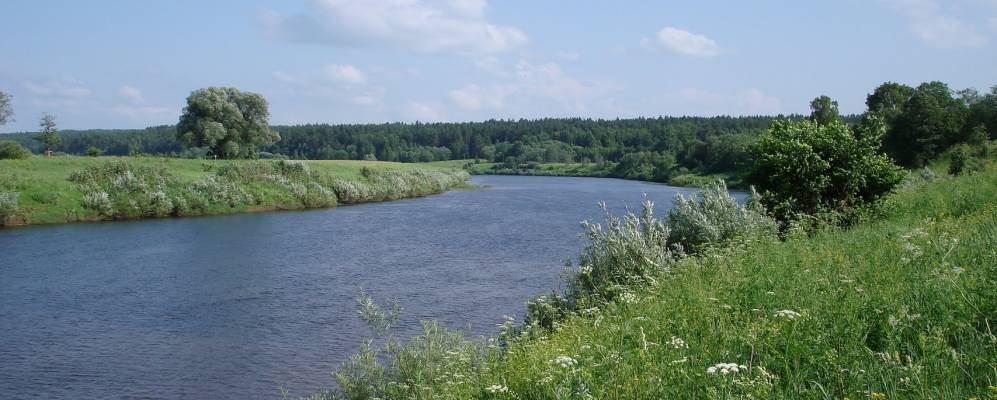 Фотография Миленков