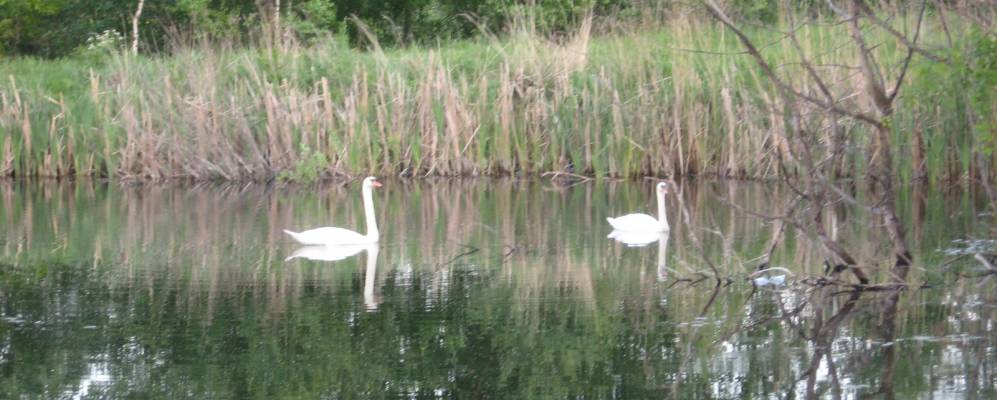 
            Фотография Райлова