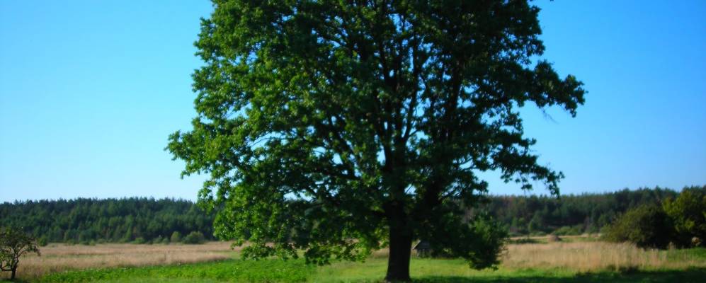 
            Фотография Подмогилья 1-го