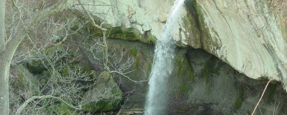 
            Фотография Уильямспорта