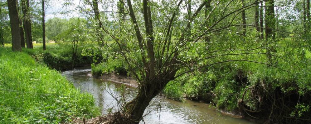 
            Фотография Сленакен