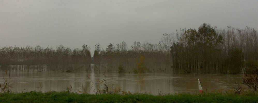 
            Фотография Ариано-нель-Полезине