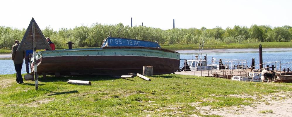 
            Фотография Ластокурьи