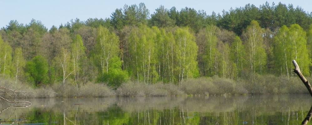 Фотография Прудков