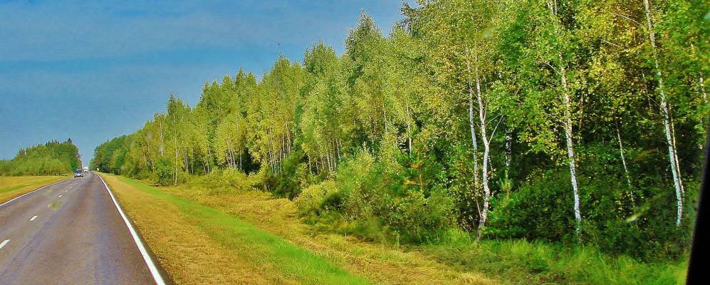 
            Фотография Зелёного Дуба