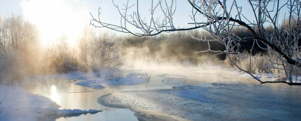 
            Фотография Гари