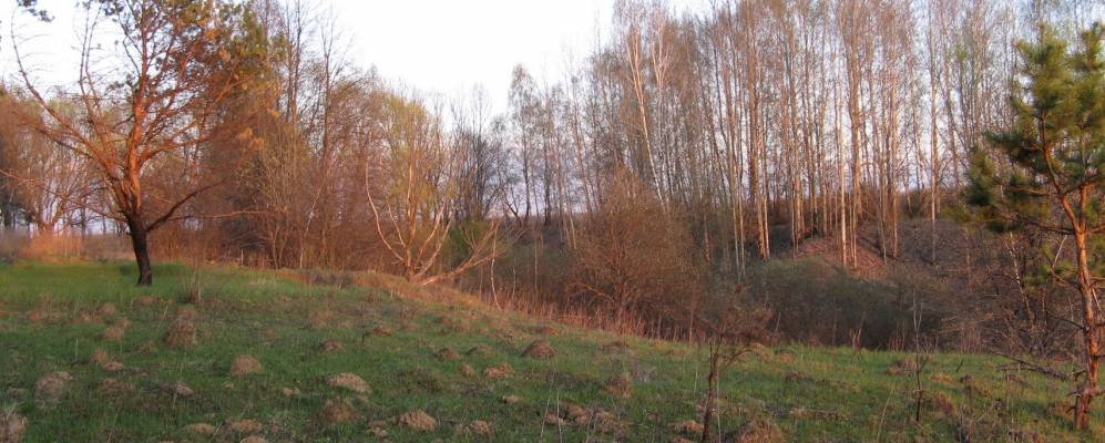 Фотография Борового