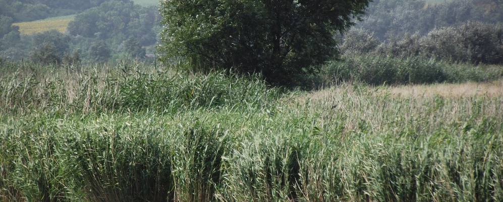 
            Фотография Озерного