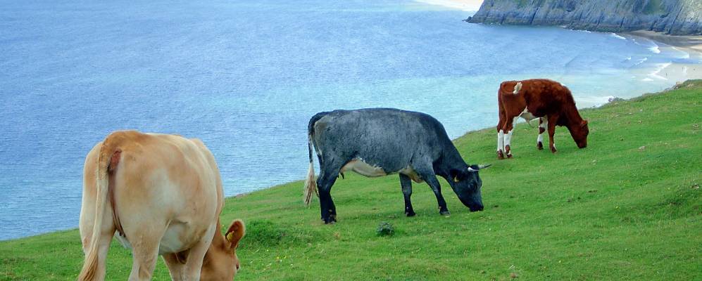 
            Фотография Саутгита