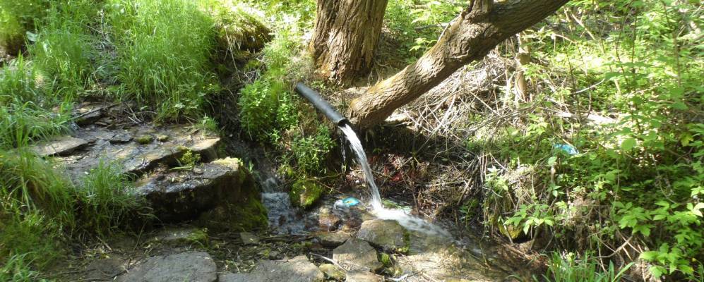 
            Фотография Чубарово