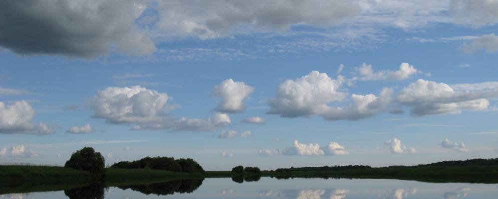 
            Фотография Пертечно