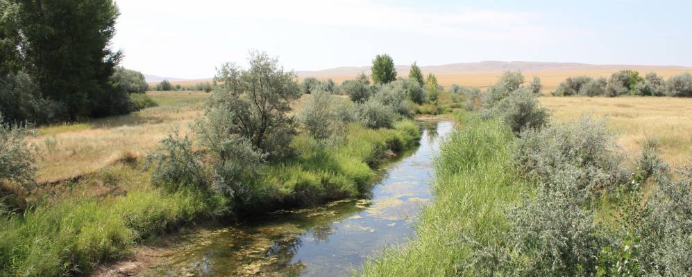 
            Фотография Красноуральска