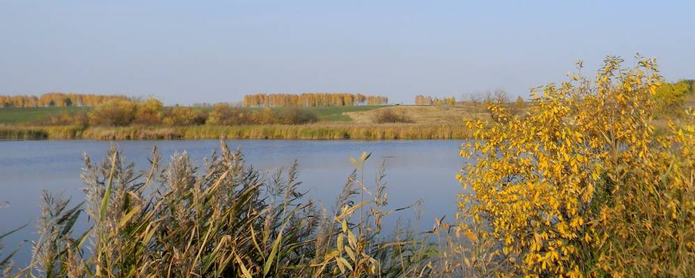 Фотография Самарки