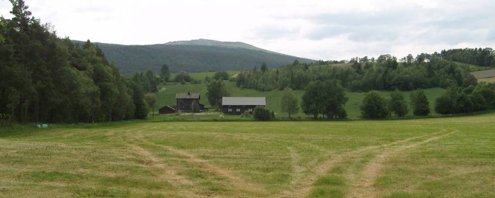 
            Фотография Хейдала