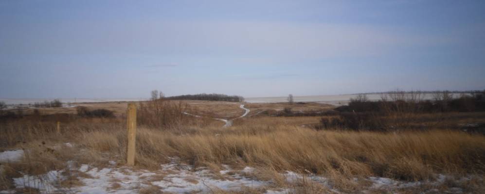 Фотография Дубового